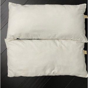 SOLD Pottery Barn Pillow Down Insert 12x24